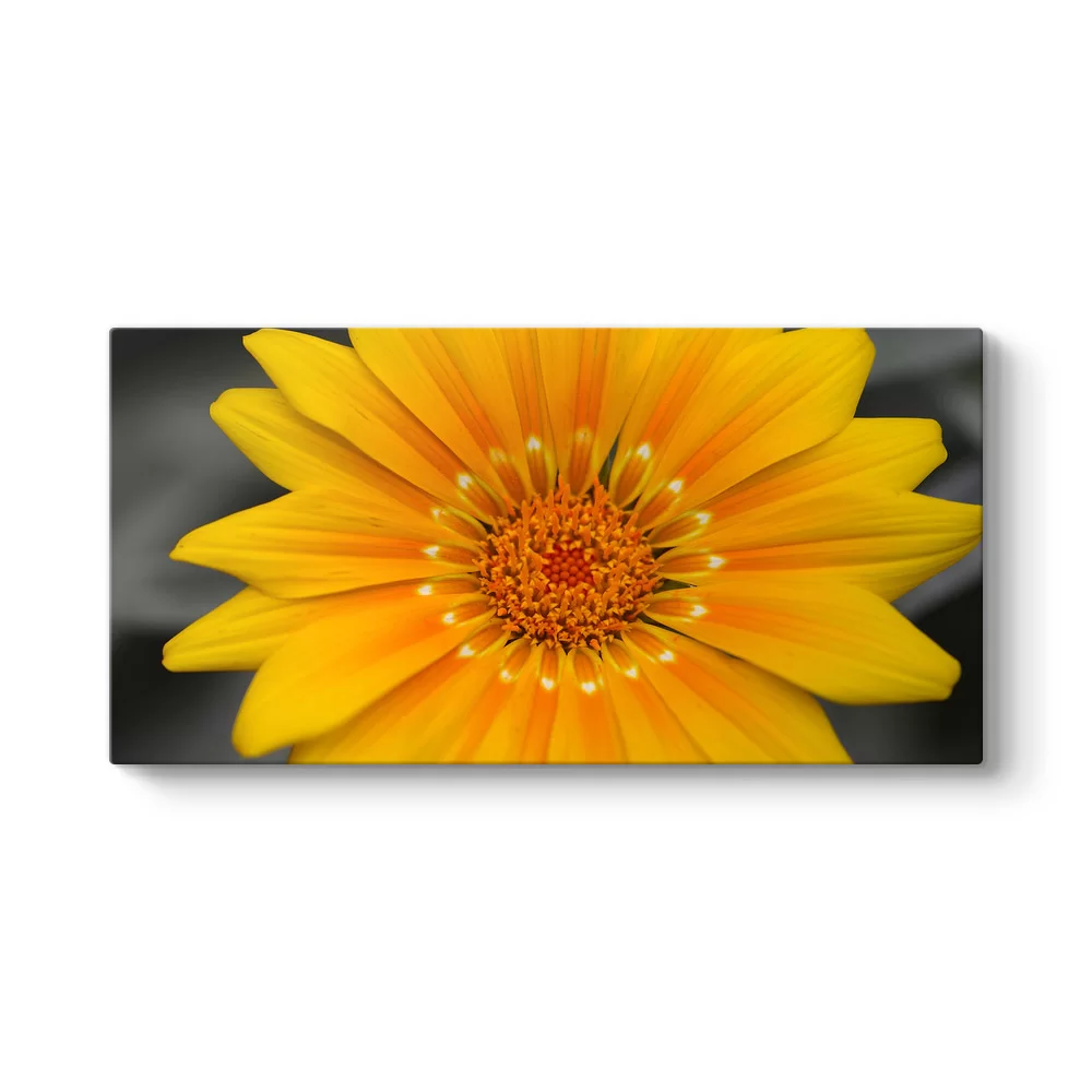 Floral Panorama Tablo - Model 5